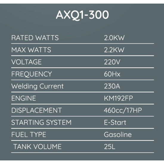 فوجي AXQ1-300 - مولد لحام بنزين